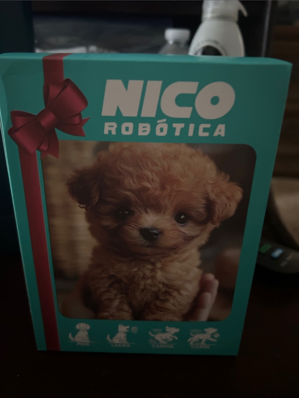 Teal Pet Accessory Box